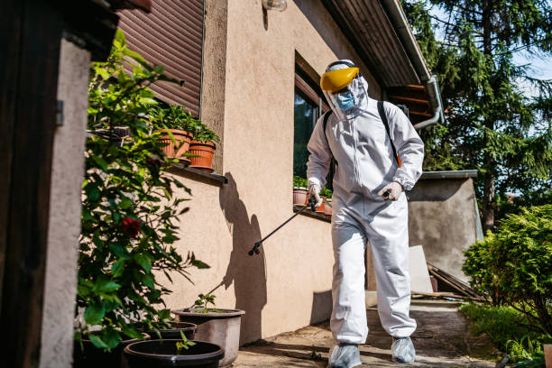 Best Local Pest Control Services  in Petersburg, IN
