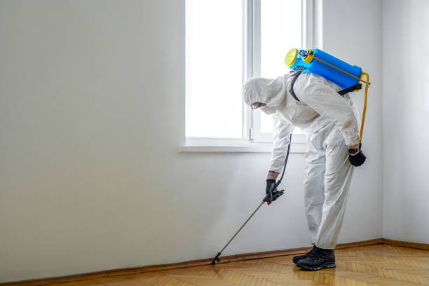 Best Cockroach Control Services  in Petersburg, IN