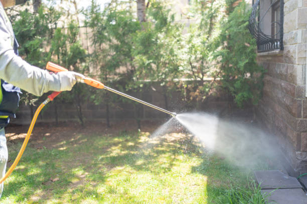 Best Mosquito Control Services  in Petersburg, IN
