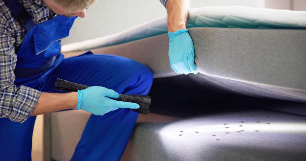 Best Flea Control Services  in Petersburg, IN