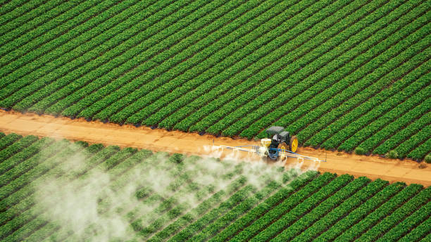 Best Pest Control Treatment  in Petersburg, IN